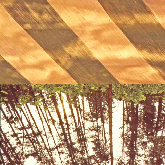 Finitude's Ladder cover