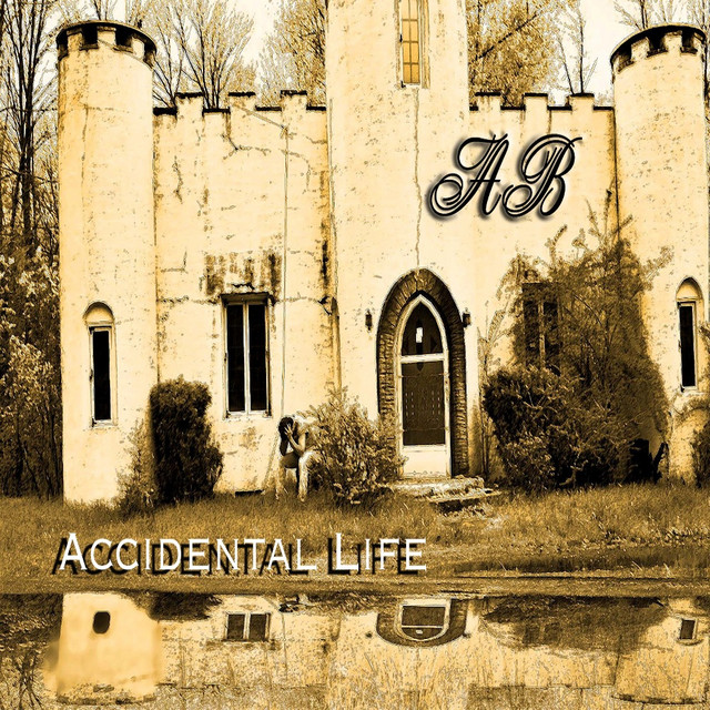 Accidental Life cover art