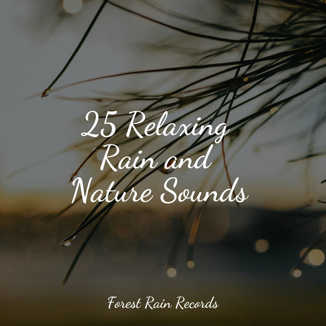 25 Relaxing Rain and Nature Sounds - Album by Rain Hard | Spotify