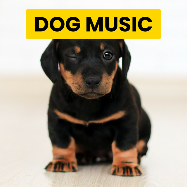 Piano For Dog Energy cover art