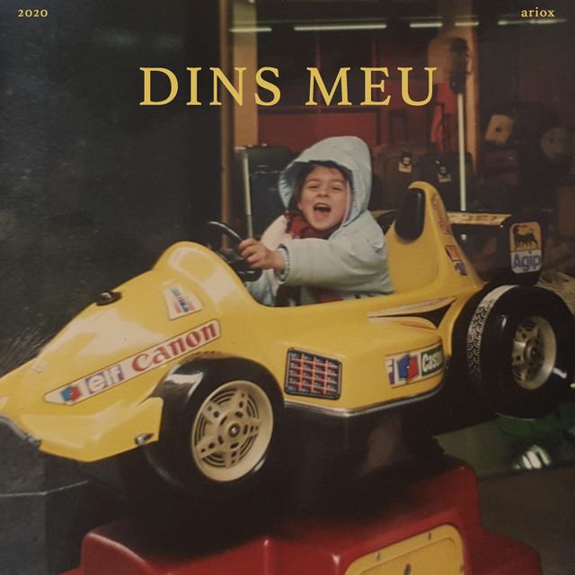 Dins Meu