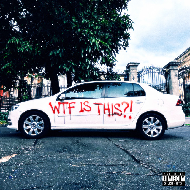 WTF IS THIS?! cover