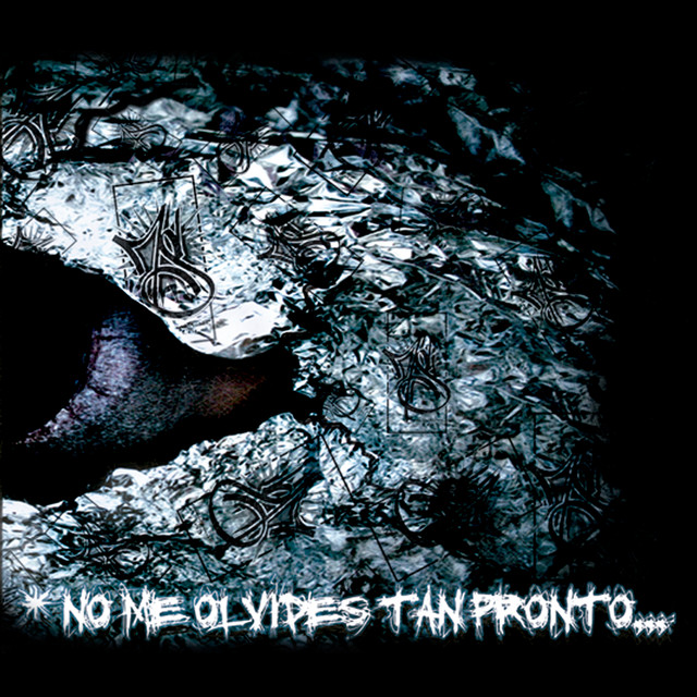 No Me Olvides Tan Pronto... cover art