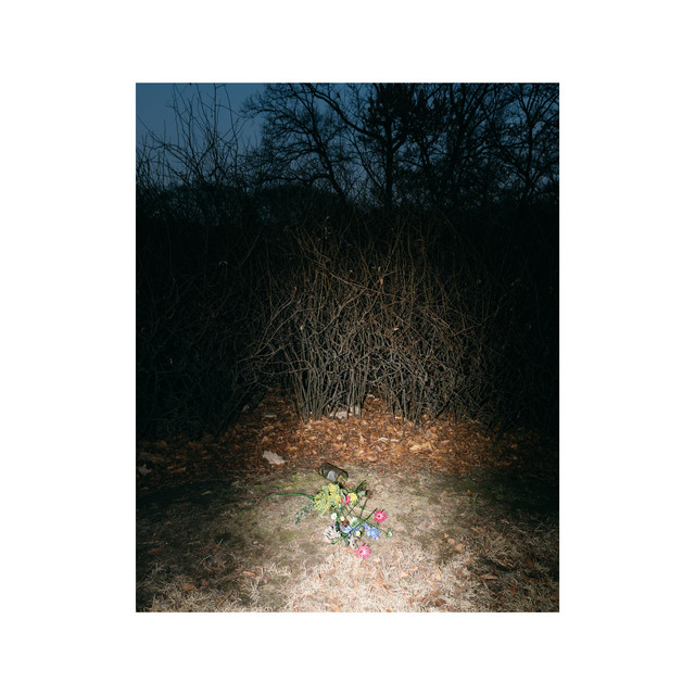 Dumb cover art