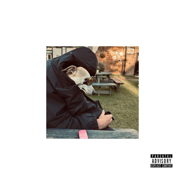 DOG cover
