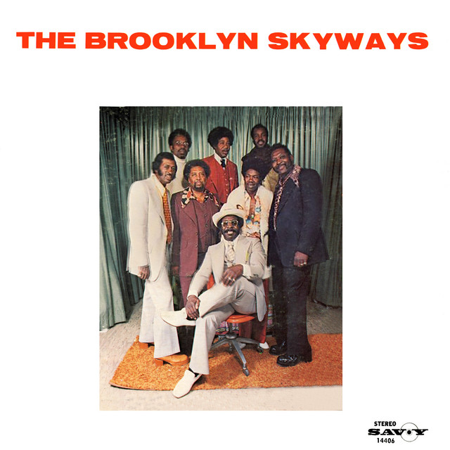 The Brooklyn Skyways