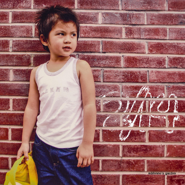 Adrienne's Garden cover art
