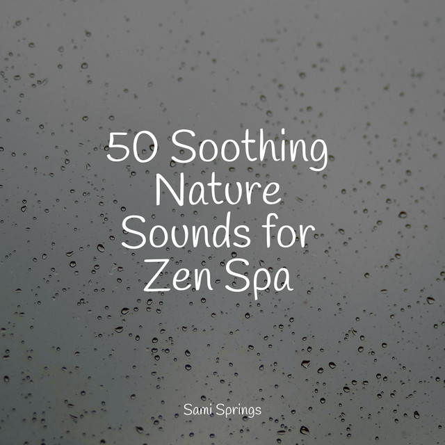 50 Soothing Nature Sounds for Zen Spa - Album by Water Sounds for Sleep ...