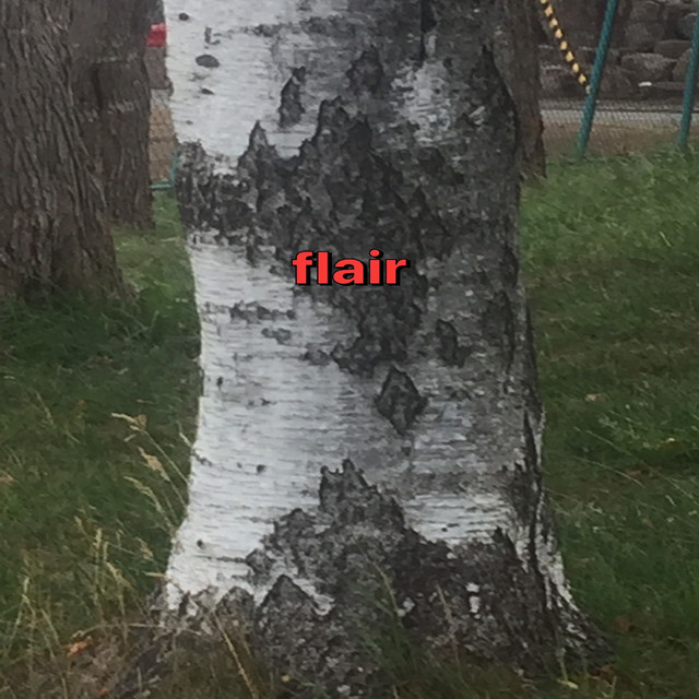 flair cover art