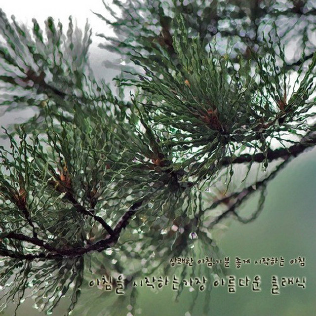 상쾌한 아침 기분 좋게 시작하는 아침 아침을 시작하는 가장 아름다운 클래식 cover art