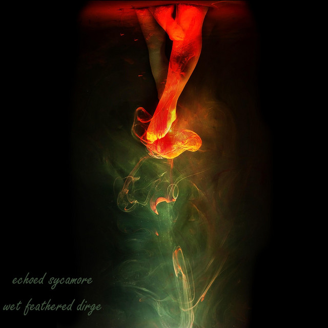 Wet Feathered Dirge cover