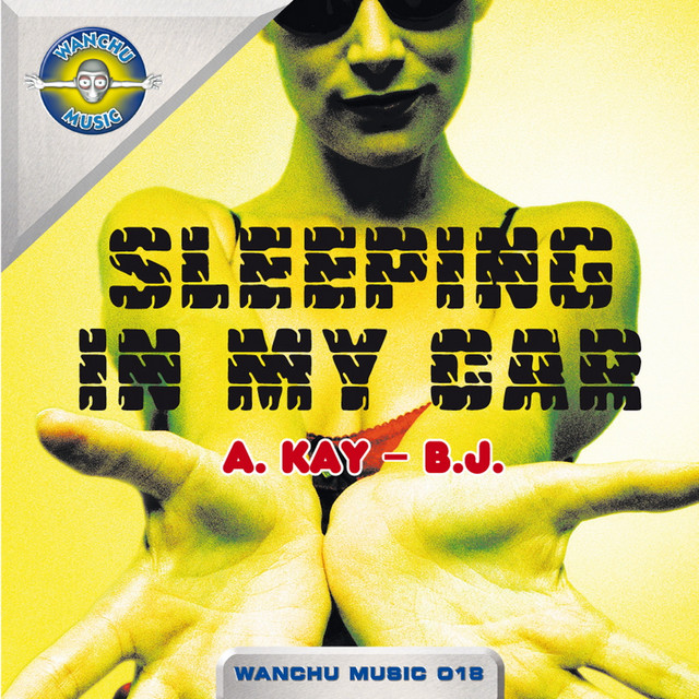 Sleeping in My Car - Radio Edit cover art