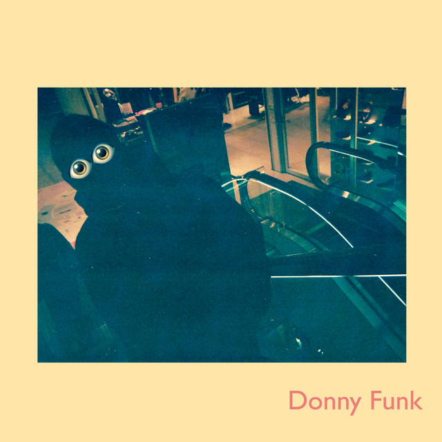 Donny Funk cover art