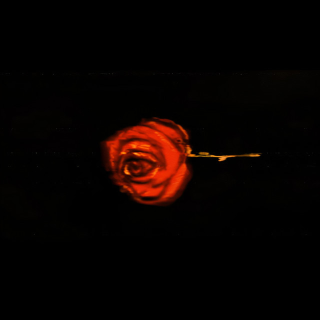 bright (Lo-fi)
