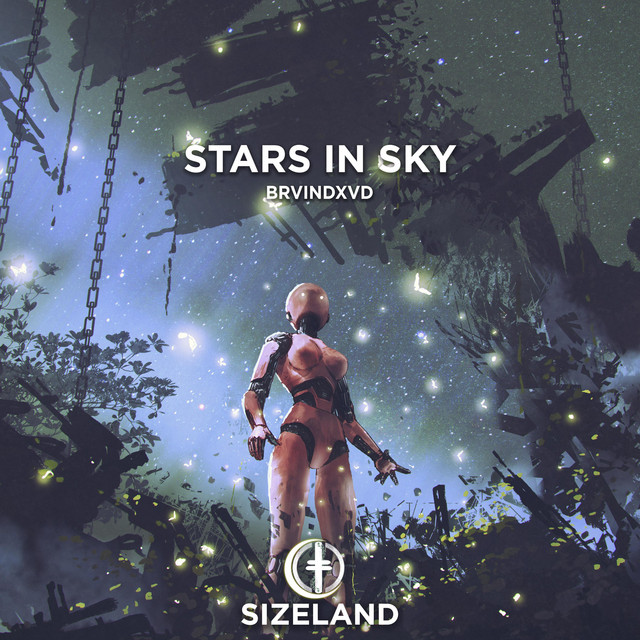Stars in Sky