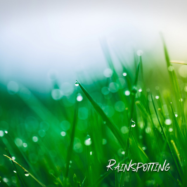 Dreamy Summer Tin Roof Rain cover art