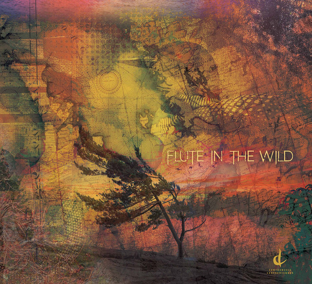 Flute in the Wild cover