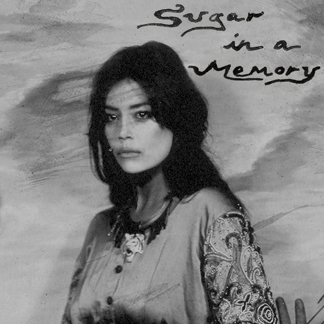 Sugar in a Memory cover