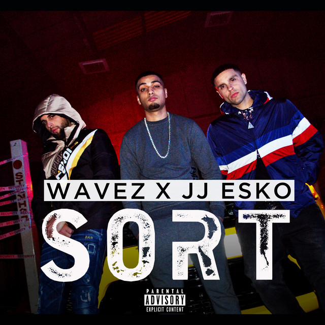 Sort cover art