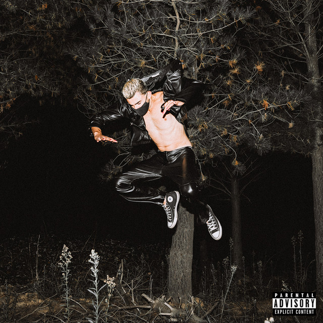 SUCCESS $TAINS cover