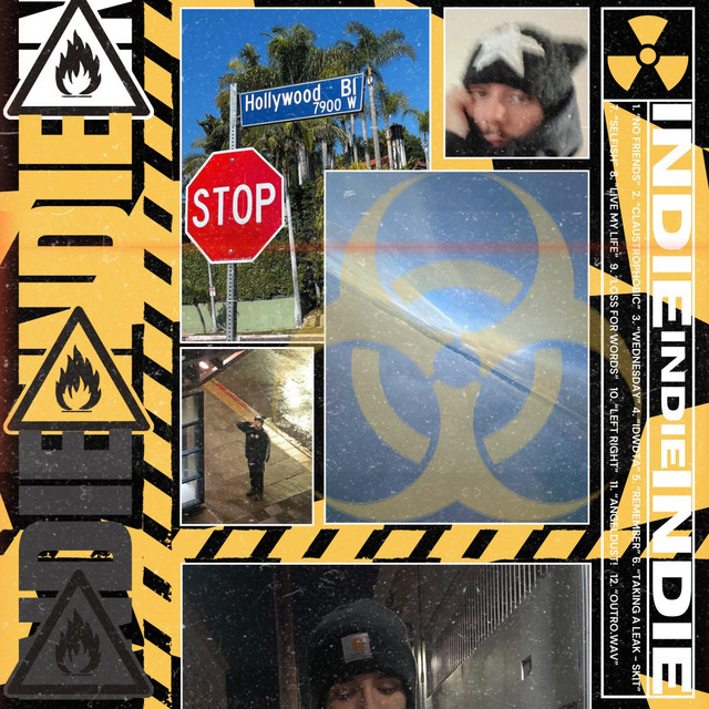 INDIE cover art