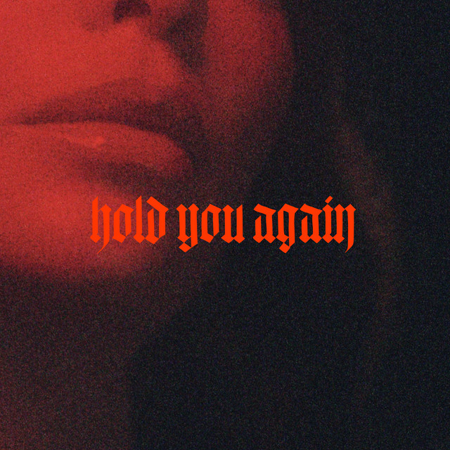 Hold You Again