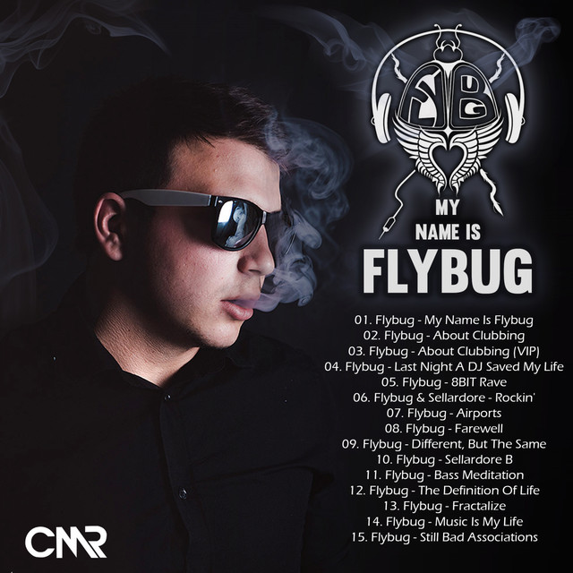 My Name Is Flybug cover art