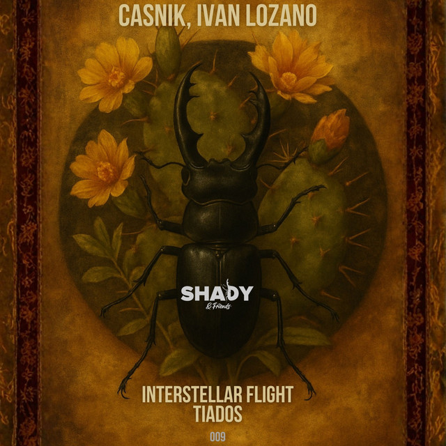 Interstellar Flight album art