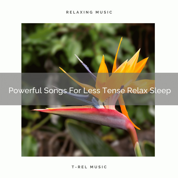 Powerful Songs For Less Tense Relax Sleep - Album by Pure Deep Sleep ...