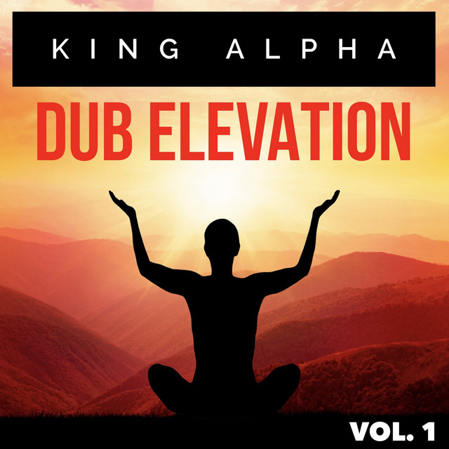 Dub Elevation Vol. 1 cover art