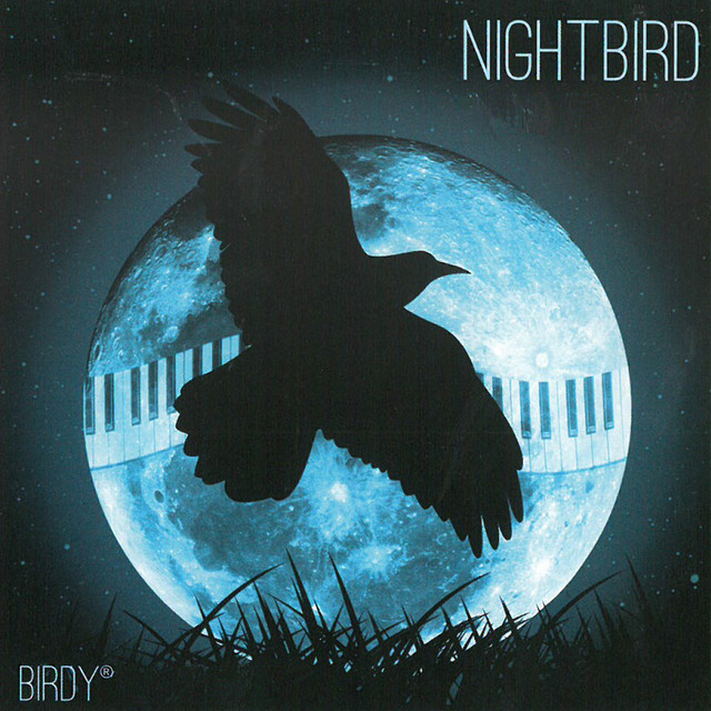 Nightbird cover art