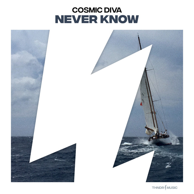 Never Know cover art