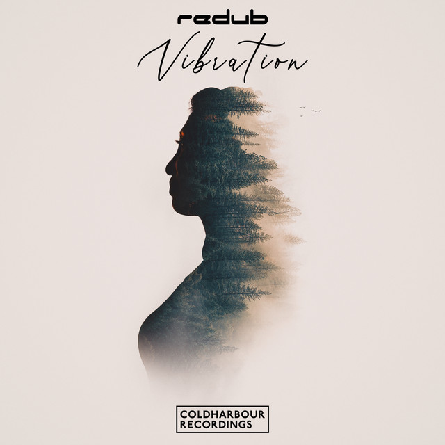 Vibration - Extended Mix album art