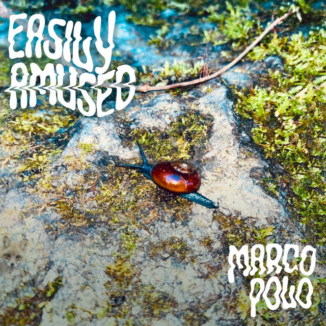 Marco Polo cover