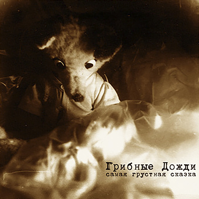 Грибные дожди Photo