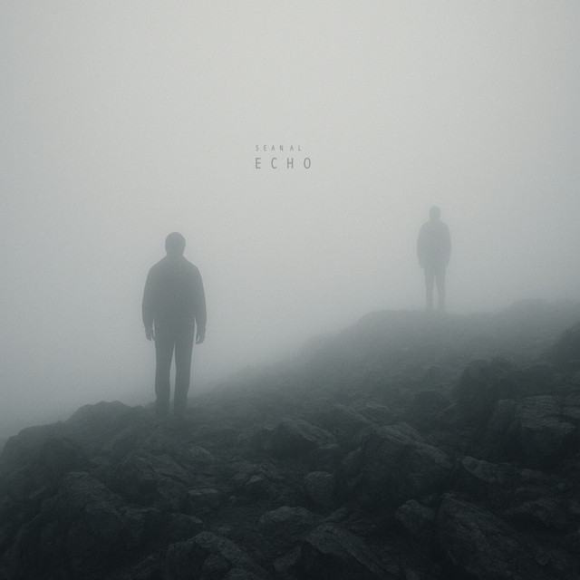 Echo cover