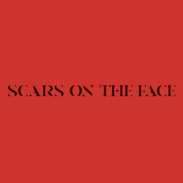 Scars On The Face