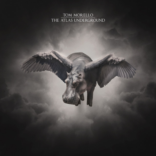 Roadrunner - song and lyrics by Tom Morello feat. Leikeli47 | Spotify