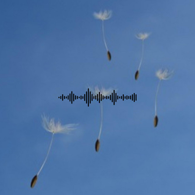 Holly (Ambient Piano) cover art