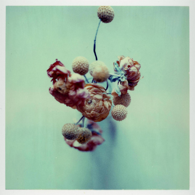 Vague cover art