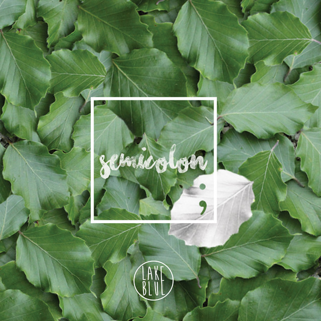 Semicolon cover