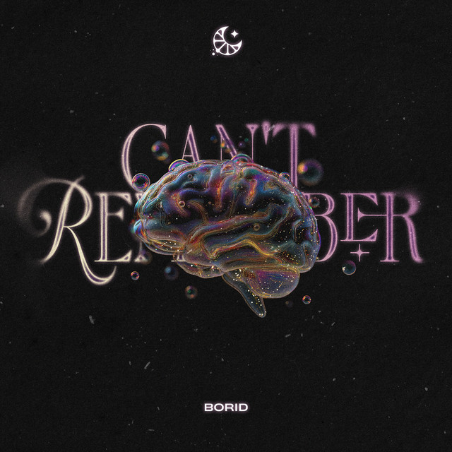 Can't Remember