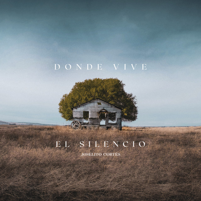 Donde vive el silencio cover