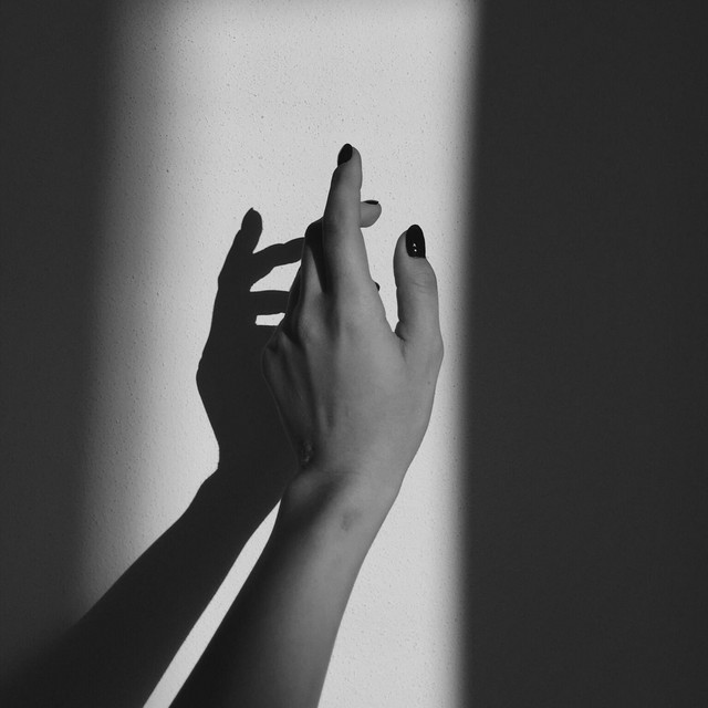 shadows cover art