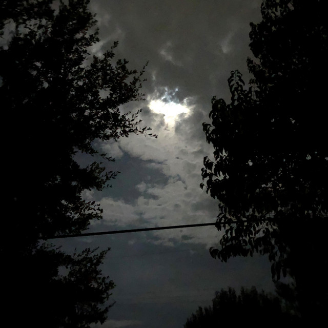 Grey cover art