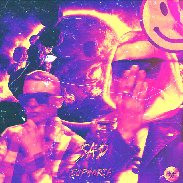 Обкладинка: Sad Euphoria — ErZ