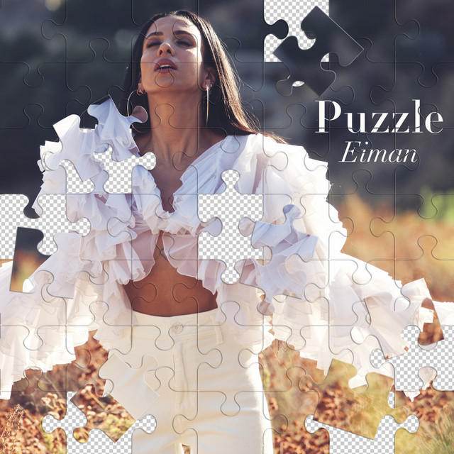 Puzzle cover art