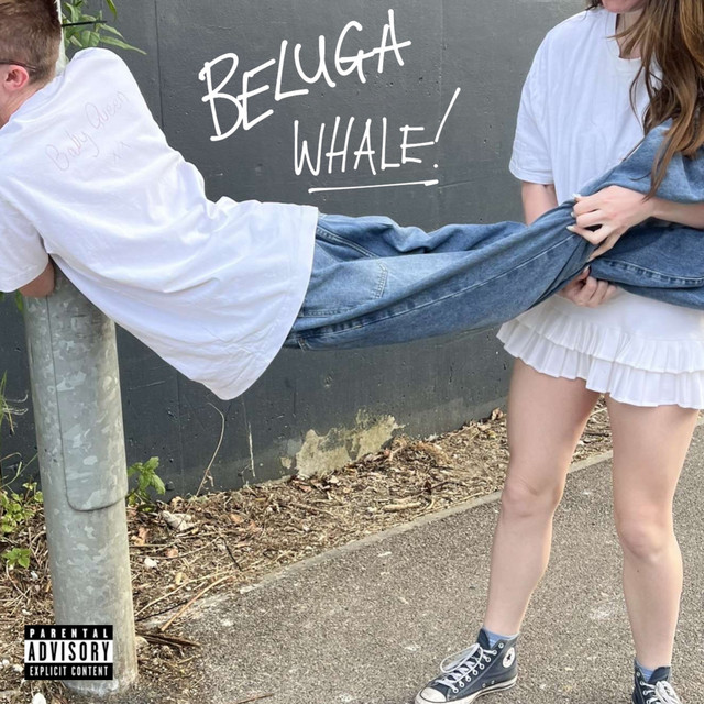 Beluga whale