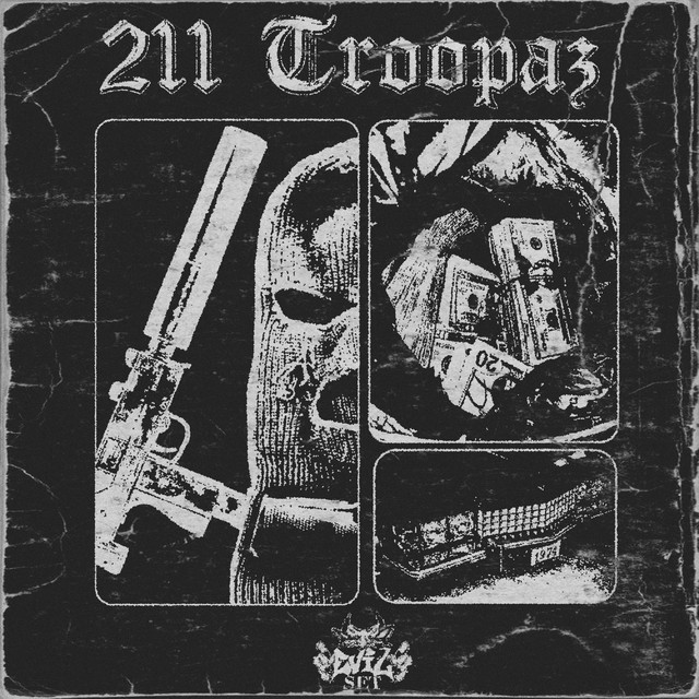 211 TROOPAZ