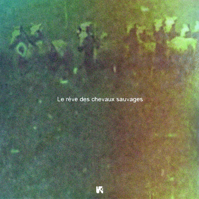 Le rêve des chevaux sauvages cover